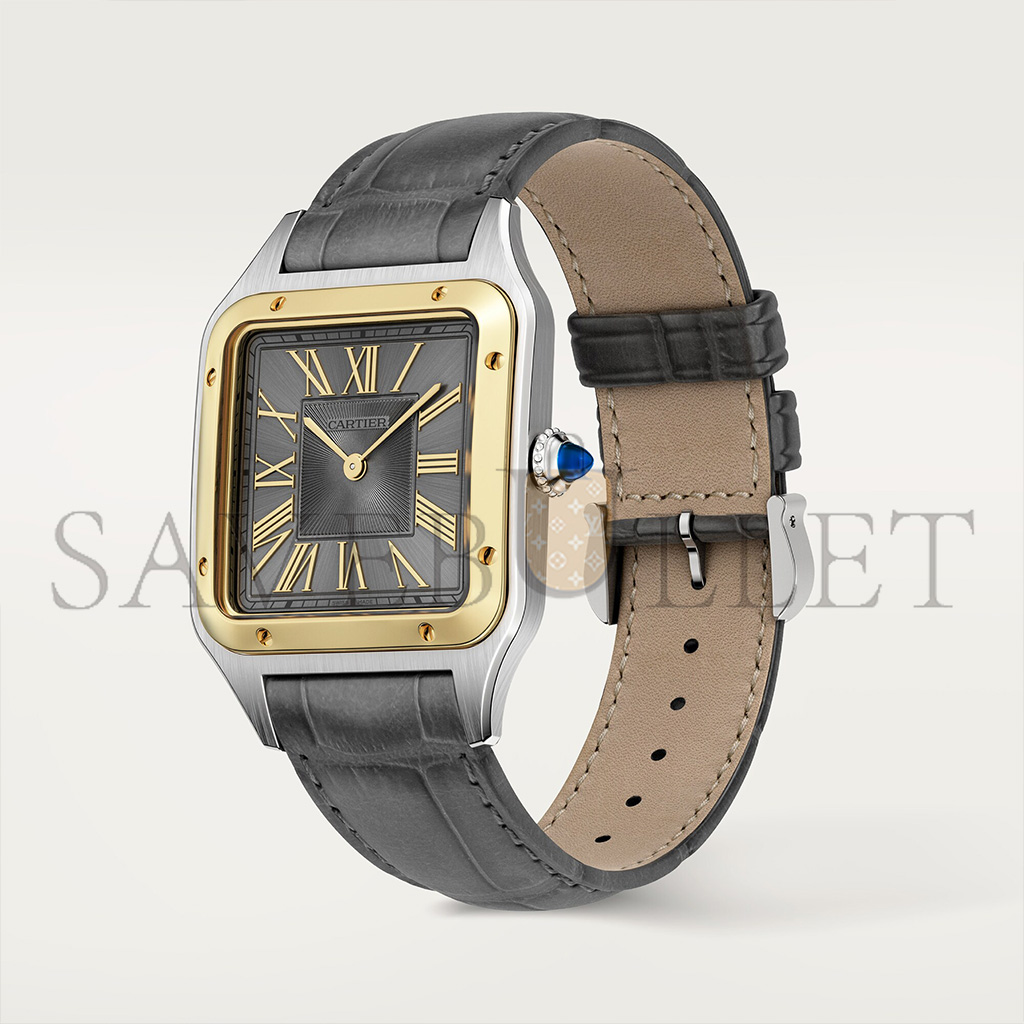 CARTIER SANTOS-DUMONT 44MM WATCH W2SA0028